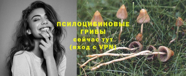 a pvp Аркадак