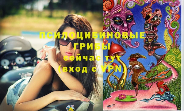 прущий лед Арсеньев