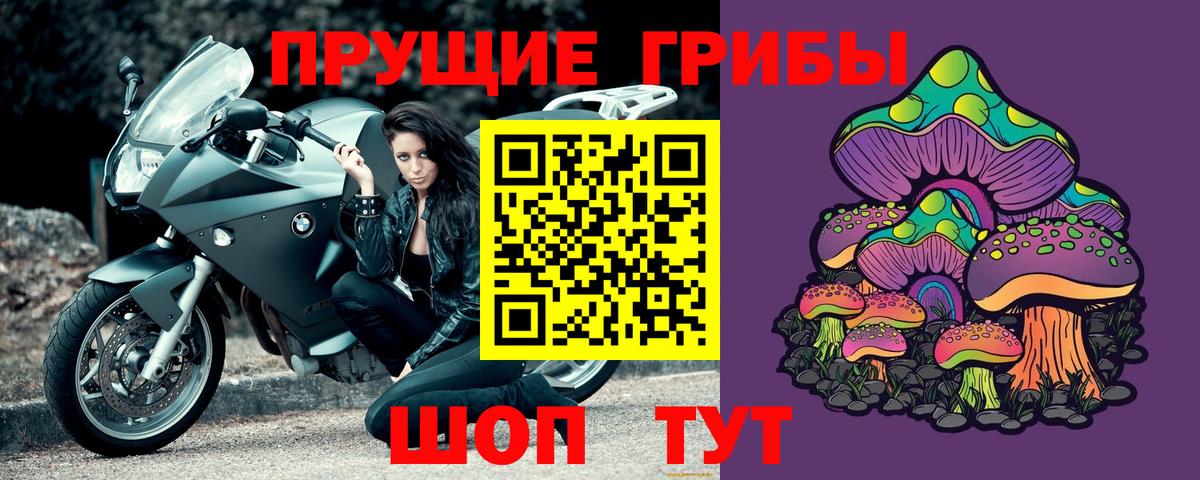 Сосновоборск  Псилоцибиновые грибы мухоморы  Вход с VPN 
